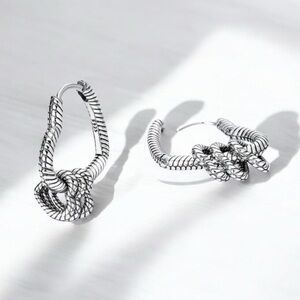 925 Pure Silvery  Hot Infinite Love Snake Pattern Multi-Ring Heart Earrings
